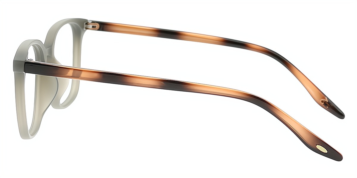 Gray Horn Classic TR90 Eyeglasses