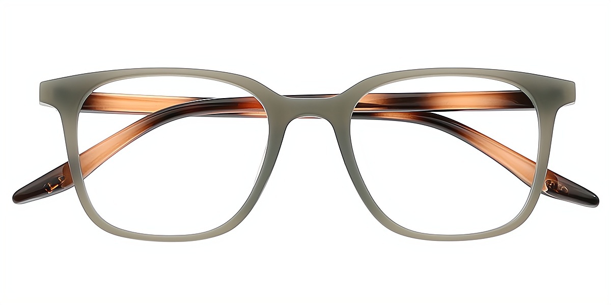 Gray Horn Classic TR90 Eyeglasses