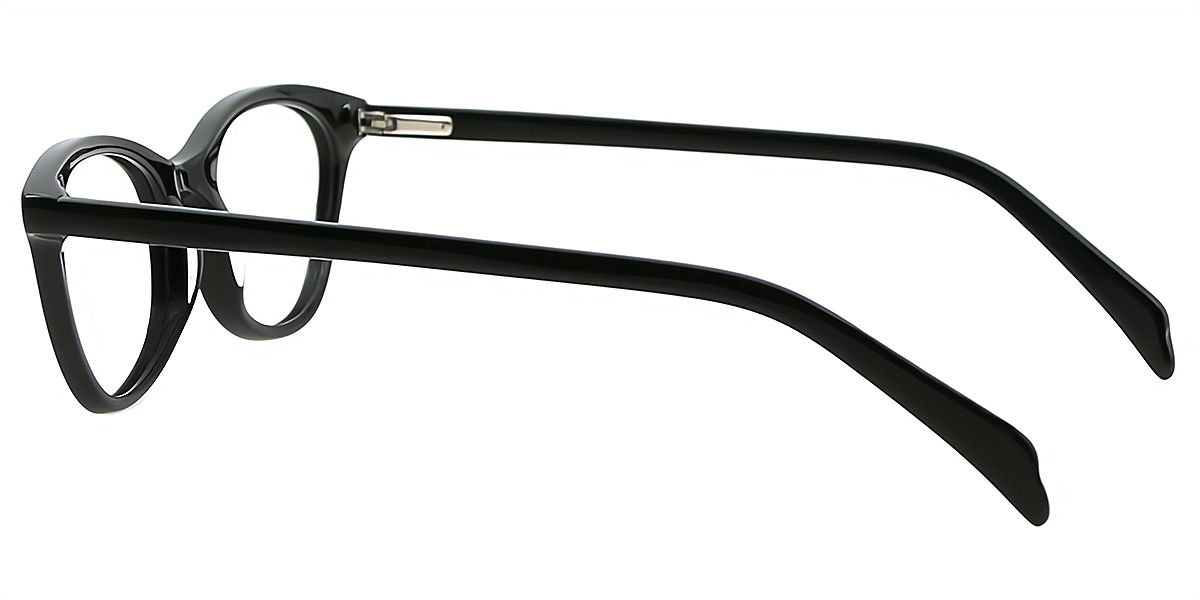 Black Cat Eye Elaborate Acetate Eyeglasses