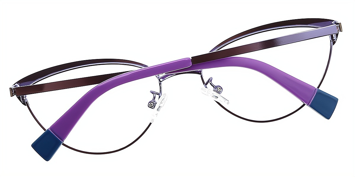 Blue Cat Eye Retro Metal Eyeglasses