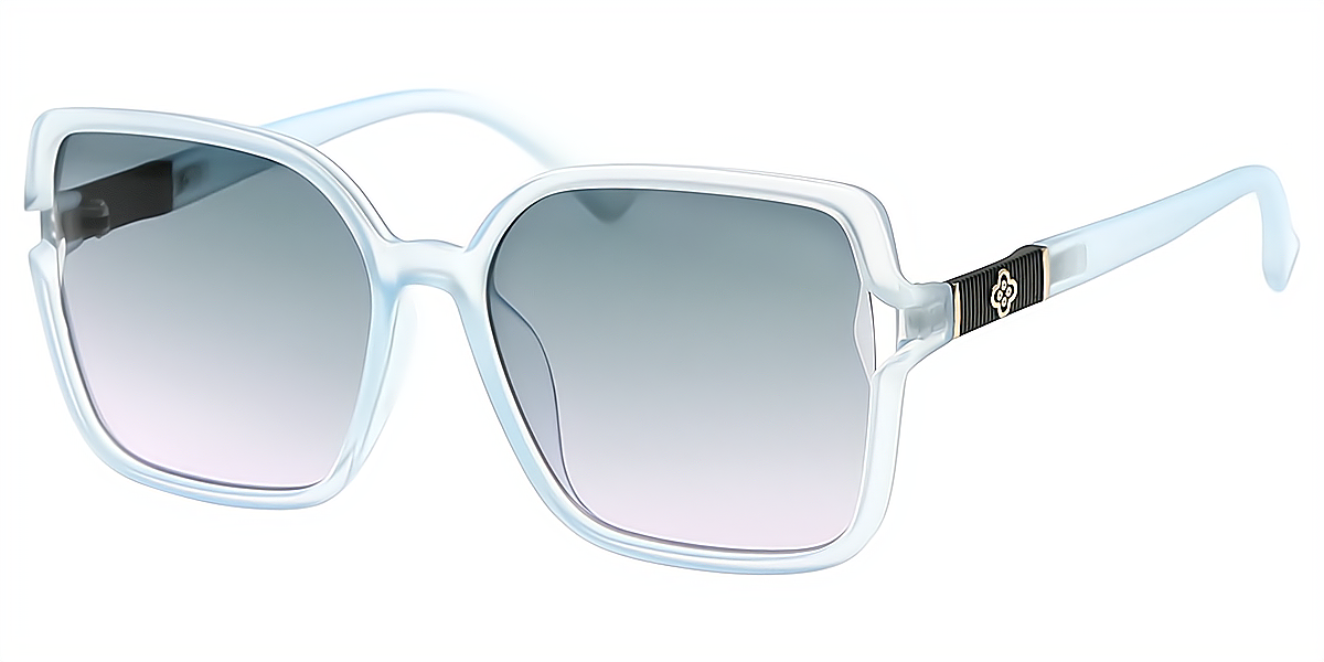 Blue Square Simple Oversized Plastic Eyeglasses