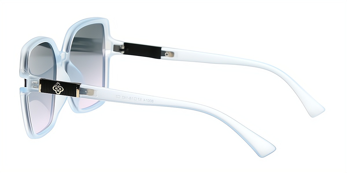 Blue Square Simple Oversized Plastic Eyeglasses
