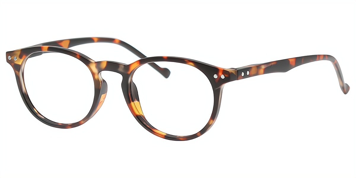 Tortoise Oval Simple Plastic Eyeglasses