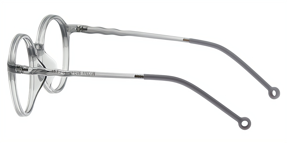 Gray Round Retro TR90 Eyeglasses