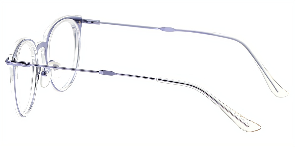 Purple Cat Eye Elegant Mixed Materials Eyeglasses