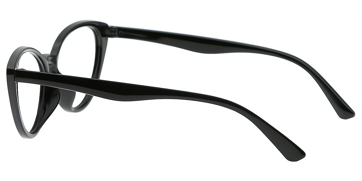 Black Cat Eye Wide Plastic Eyeglasses