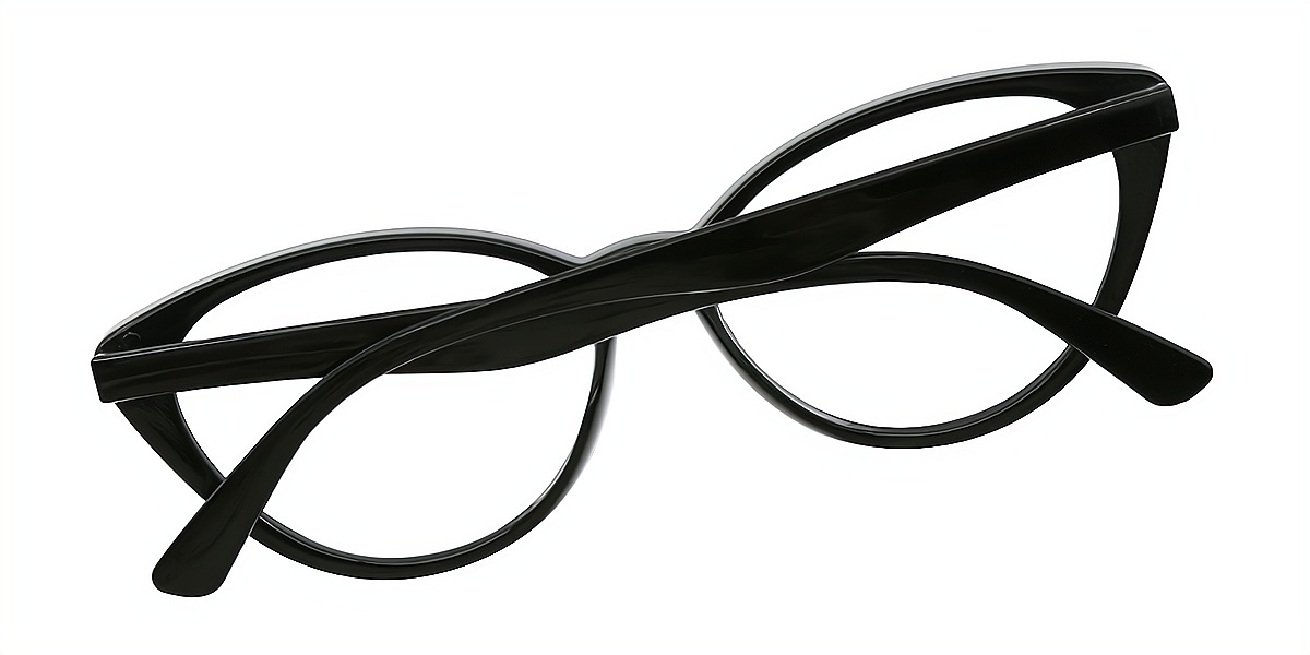 Black Cat Eye Wide Plastic Eyeglasses