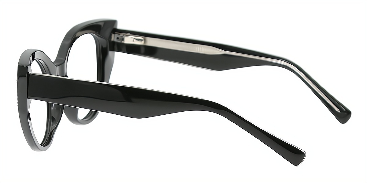 Black Cat Eye Ornate Acetate Eyeglasses