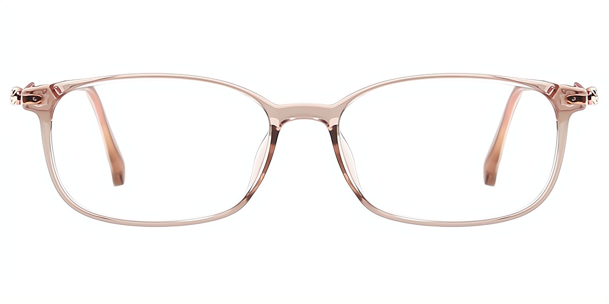 Brown Rectangle Sophisticated Mixed Materials Eyeglasses