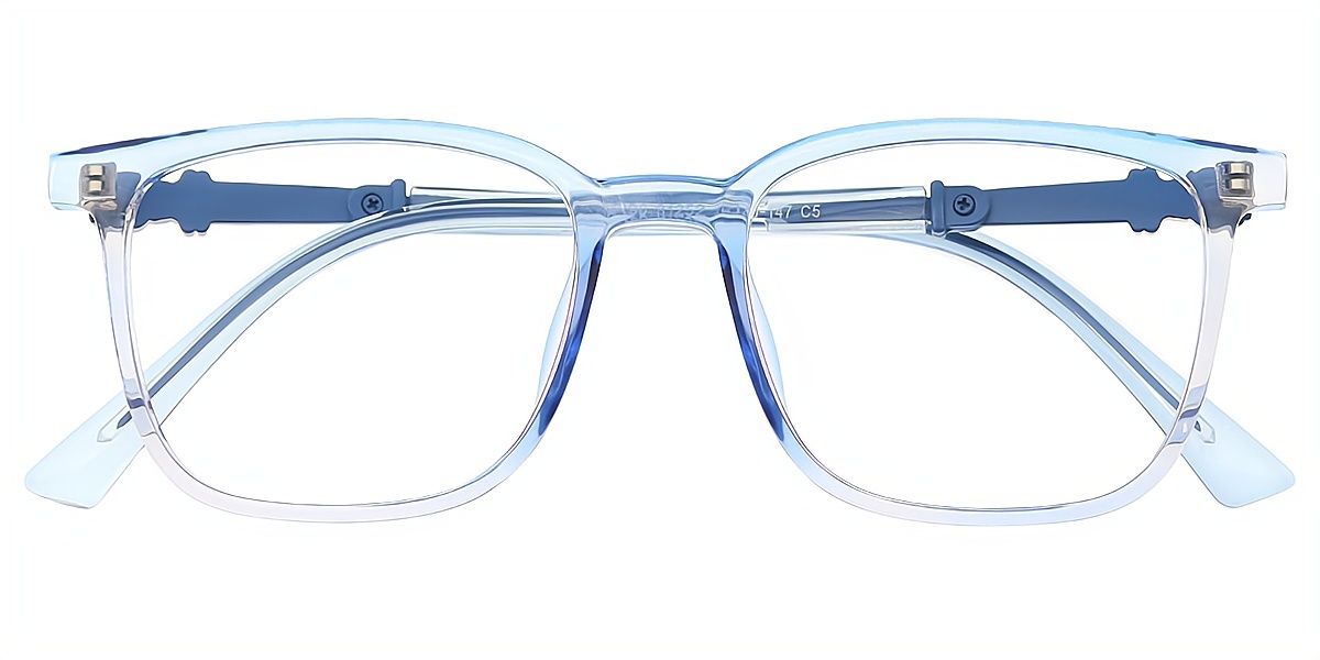 Blue Rectangle Exquisite Horn TR90 Eyeglasses