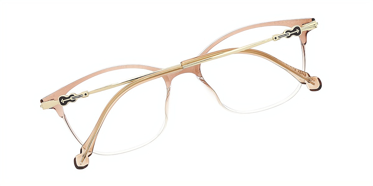 Brown Rectangle Elaborate Horn TR90 Eyeglasses
