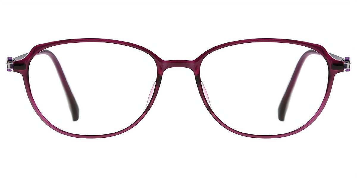 Purple Oval Elaborate Horn Mixed Materials Eyeglasses