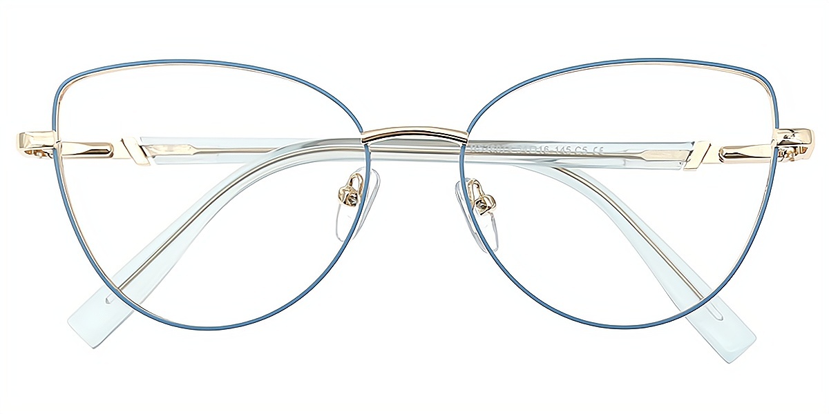 Blue Cat Eye Simple Chic Metal Eyeglasses