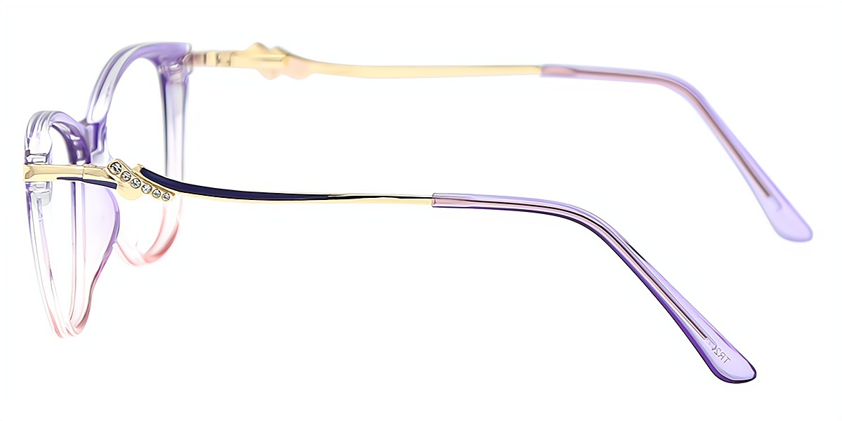 Purple Cat Eye Elegant TR90 Eyeglasses