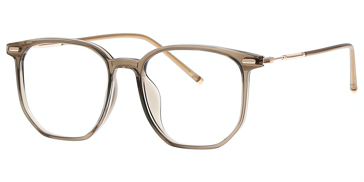Brown Geometric Simple TR90 Eyeglasses