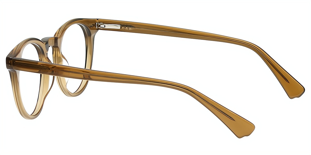 Brown Oval Elaborate Acetate Eyeglasses