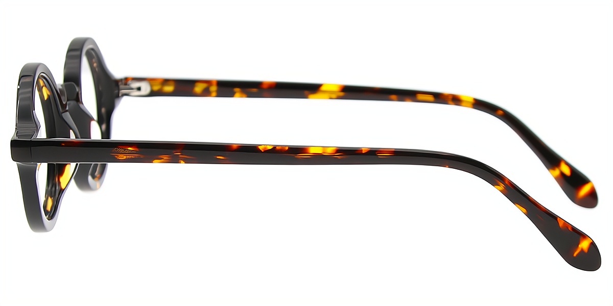 Tortoise Round Retro Acetate Eyeglasses