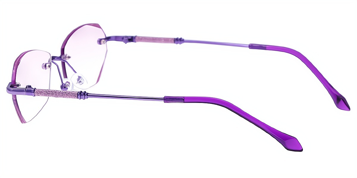 Purple Geometric Refined Mixed Materials Eyeglasses