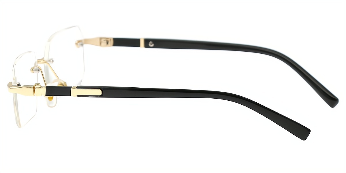 Black Golden Rectangle Classic Mixed Materials Eyeglasses