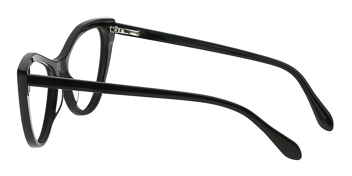 Black Cat Eye Modish Acetate Eyeglasses