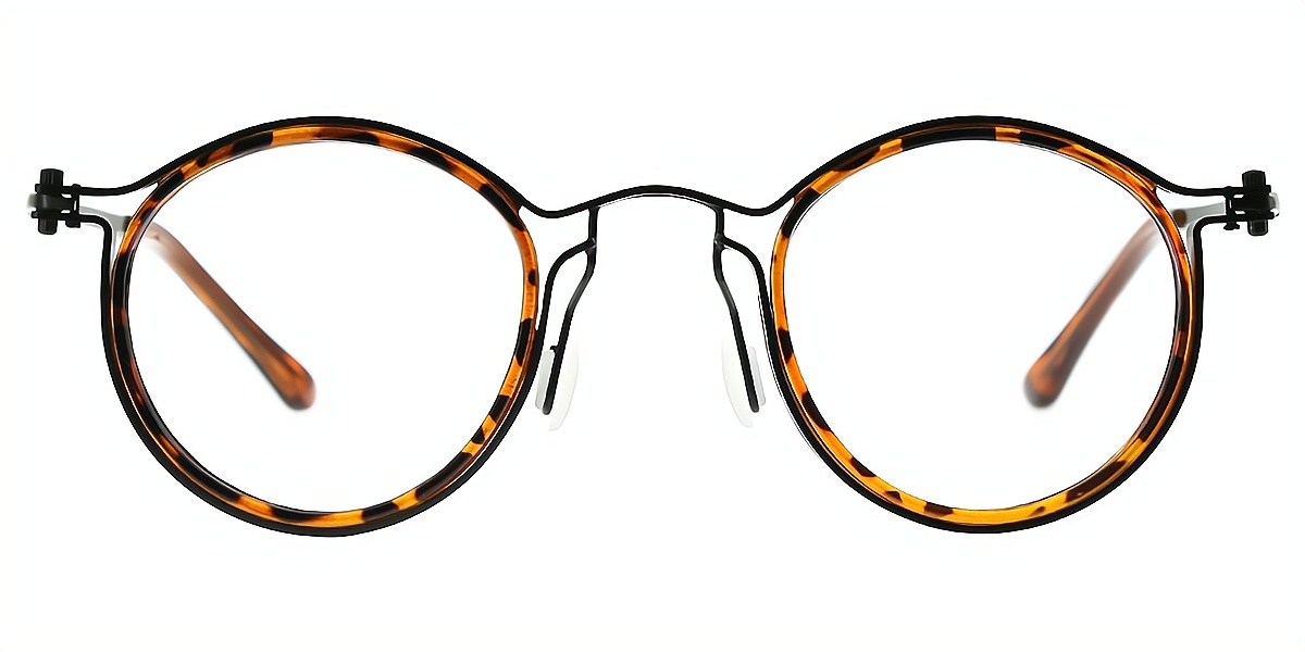 Tortoise Round Retro Metal Eyeglasses