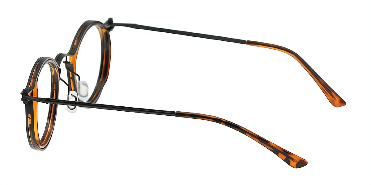 Tortoise Round Retro Metal Eyeglasses