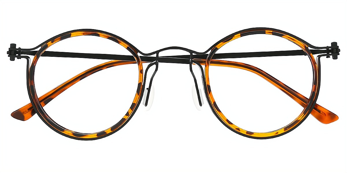 Tortoise Round Retro Metal Eyeglasses