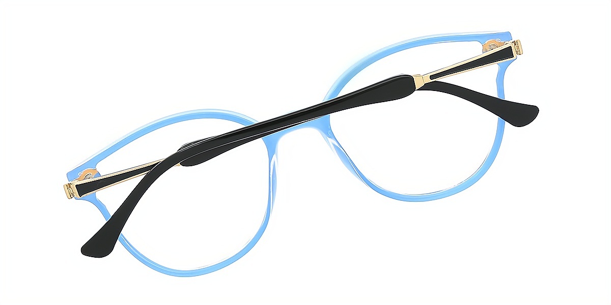 Blue Cat Eye Elegant Plastic Eyeglasses