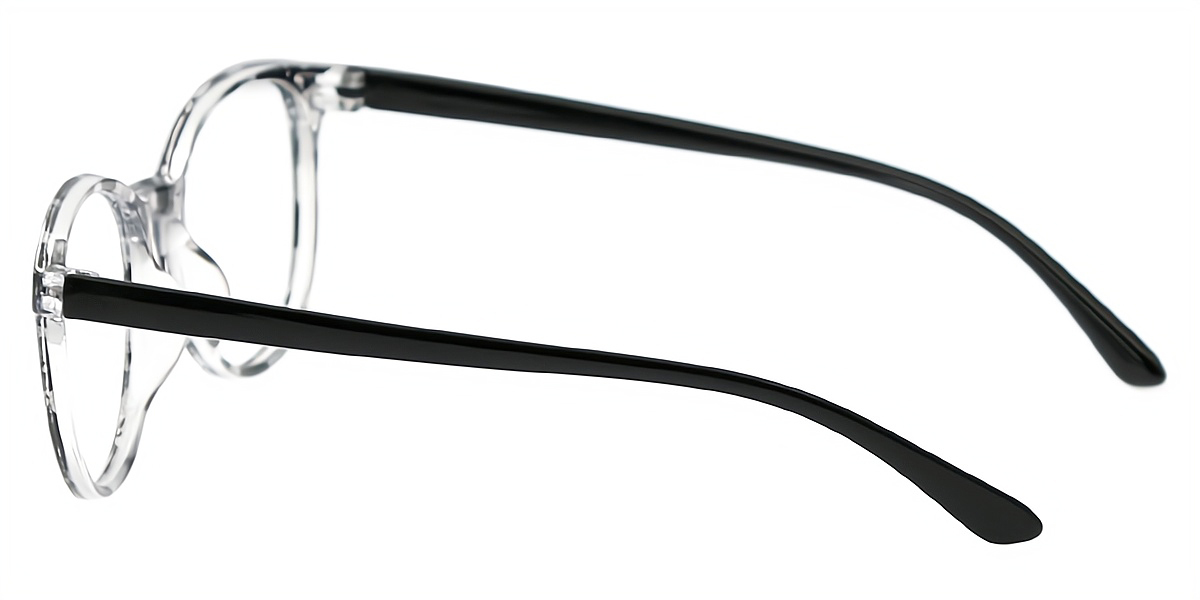 Black Tortoise Oval Modish Plastic Eyeglasses