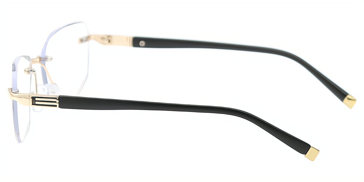 Golden Rectangle Simple Mixed Materials Eyeglasses