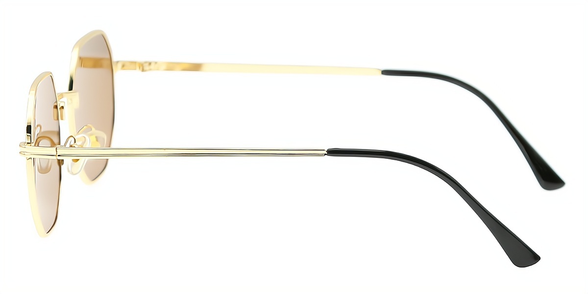 Golden Geometric Classic Metal Eyeglasses