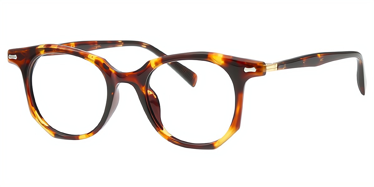 Tortoise Geometric Chic Acetate Eyeglasses