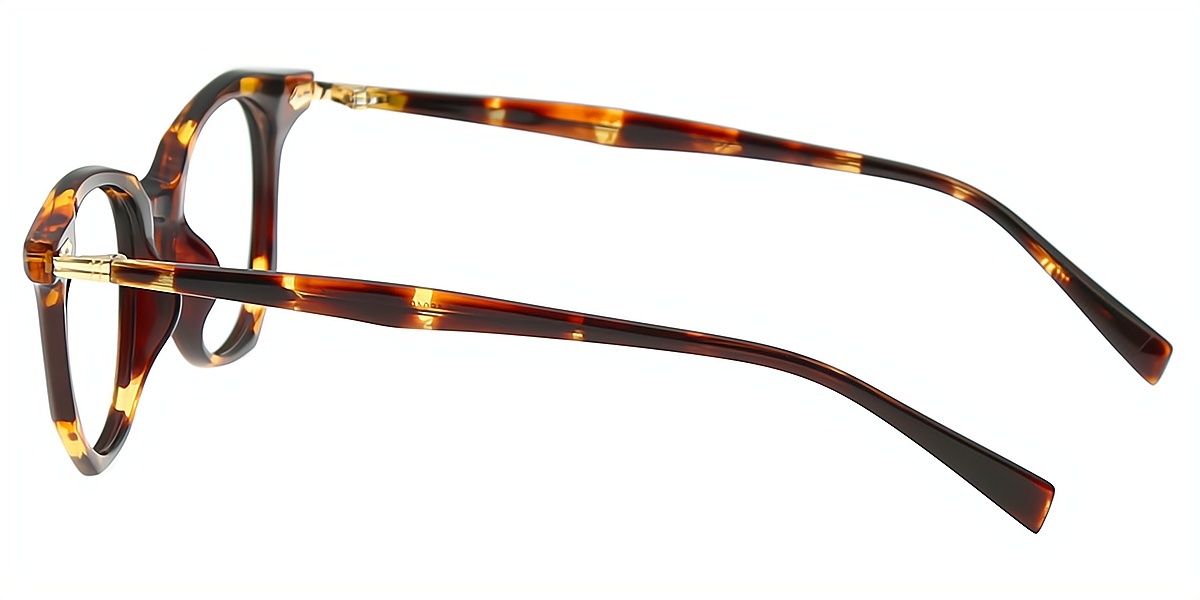 Tortoise Geometric Chic Acetate Eyeglasses