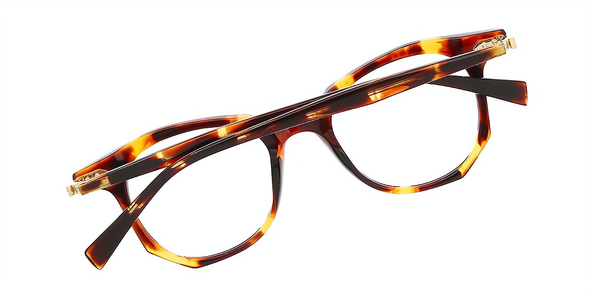 Tortoise Geometric Chic Acetate Eyeglasses