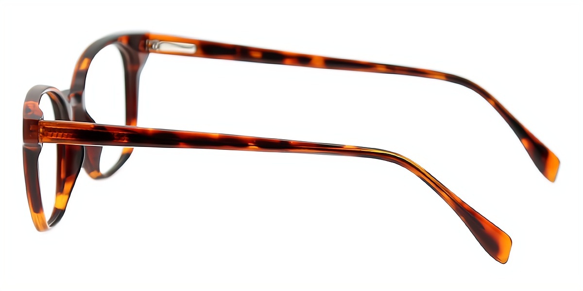 Tortoise Rectangle Classic Acetate Eyeglasses