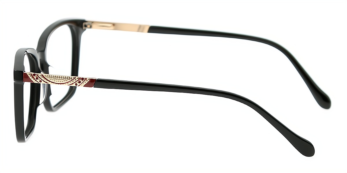 Black Horn Simple Acetate Eyeglasses