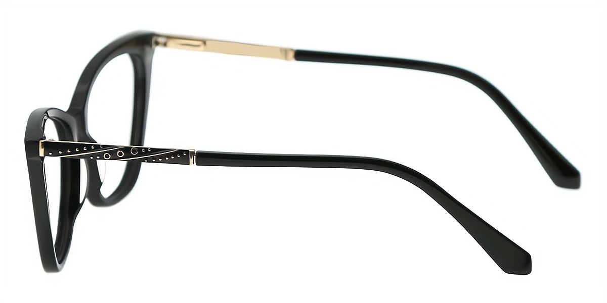 Black Cat Eye Classic Acetate Eyeglasses