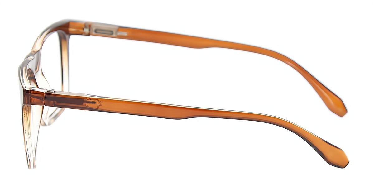 Brown Rectangle Chic Acetate Eyeglasses