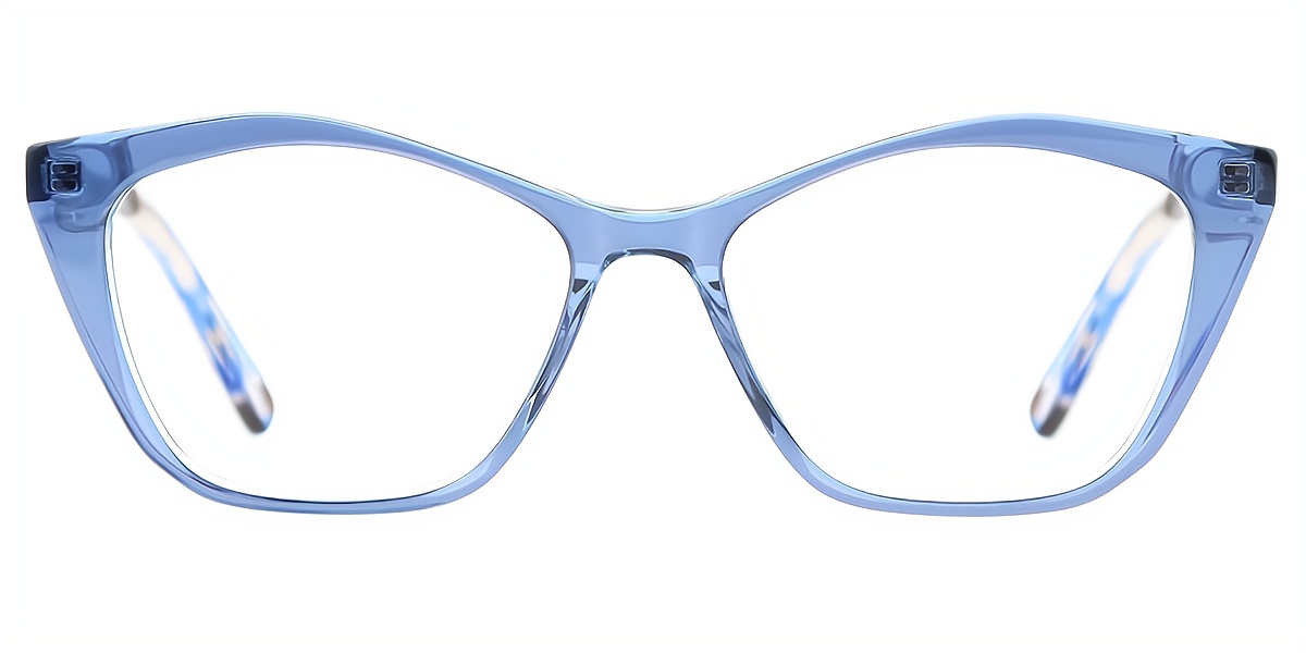 Blue Cat Eye Chic Acetate Eyeglasses