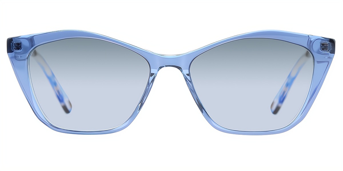 Blue Cat Eye Chic Acetate Eyeglasses