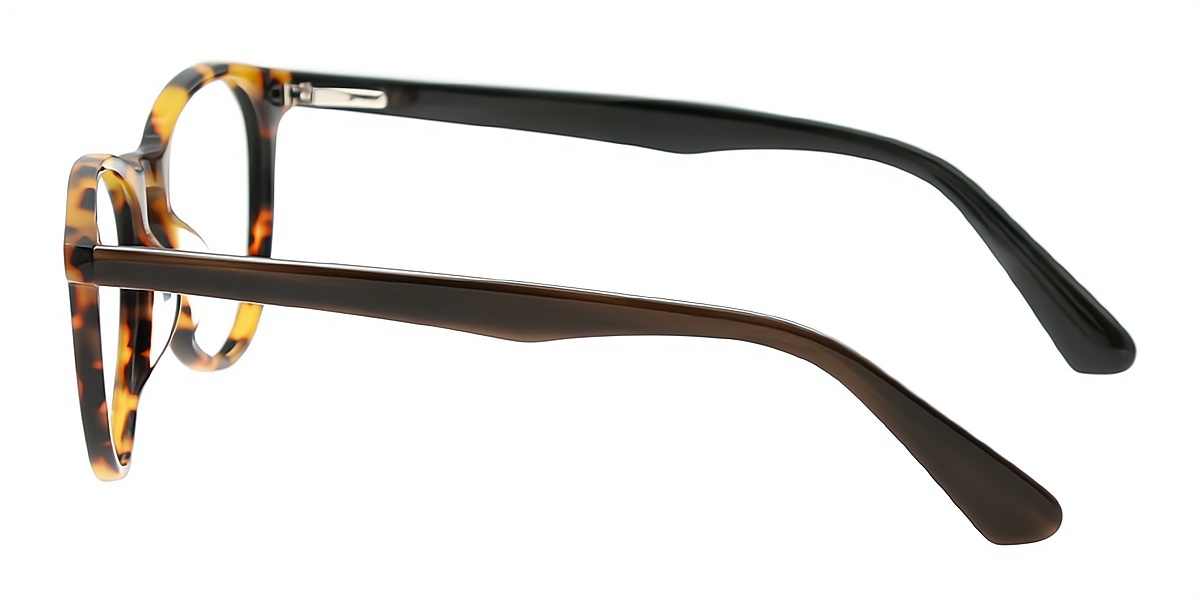 Tortoise Oval Classic Horn Acetate Eyeglasses