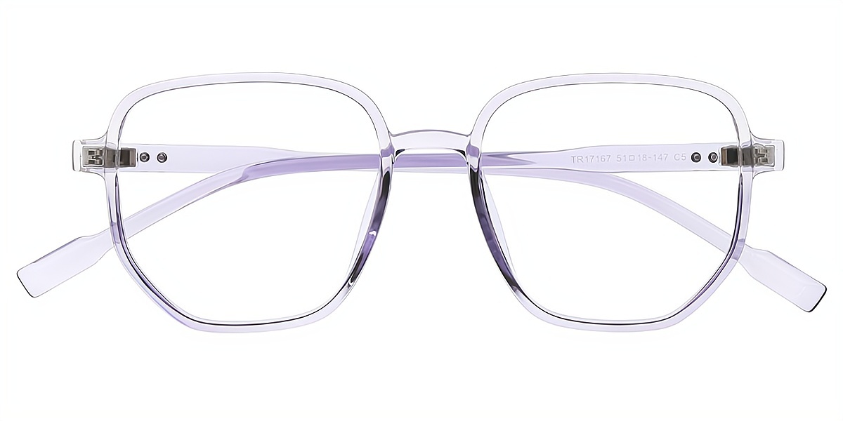 Purple Geometric Simple TR90 Eyeglasses