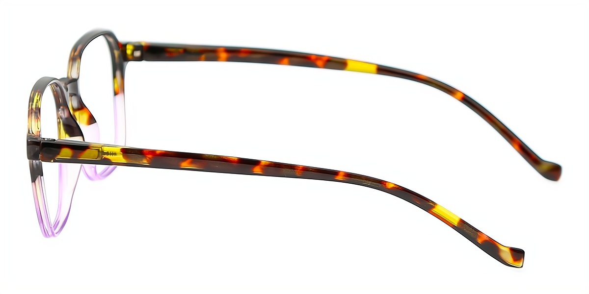 Tortoise Purple Geometric Chic Keyhole Bridge TR90 Eyeglasses