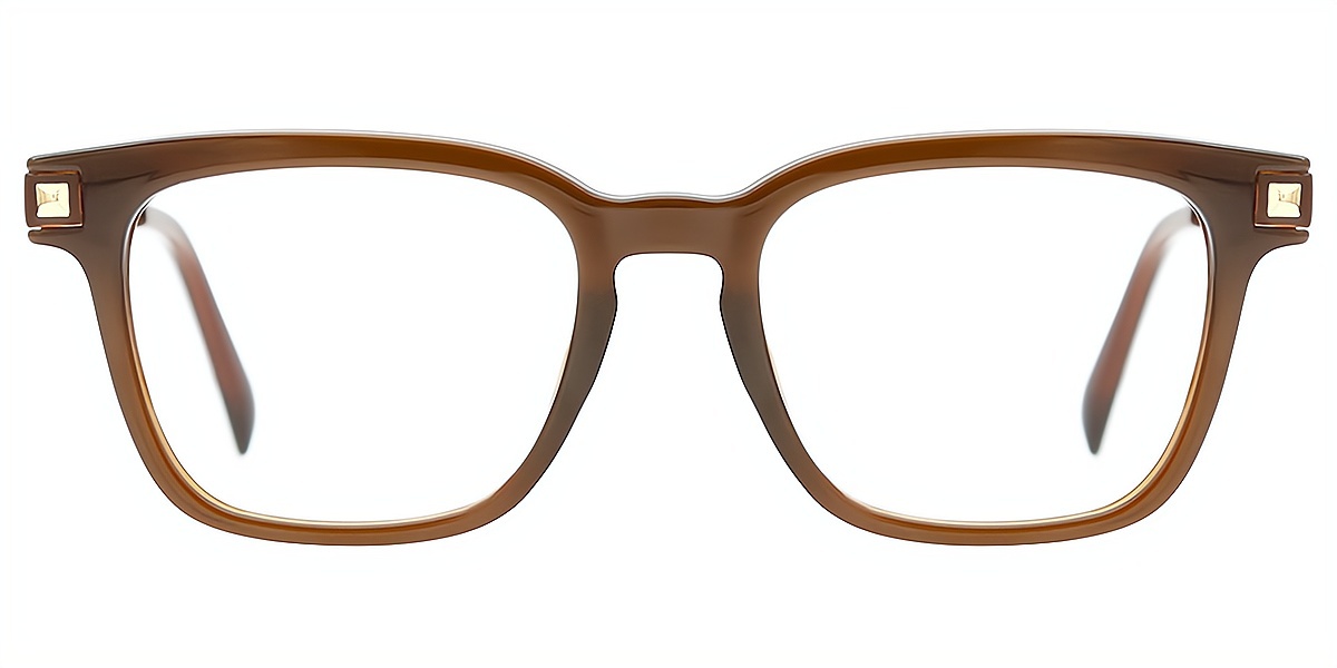 Brown Horn Classic Mixed Materials Eyeglasses