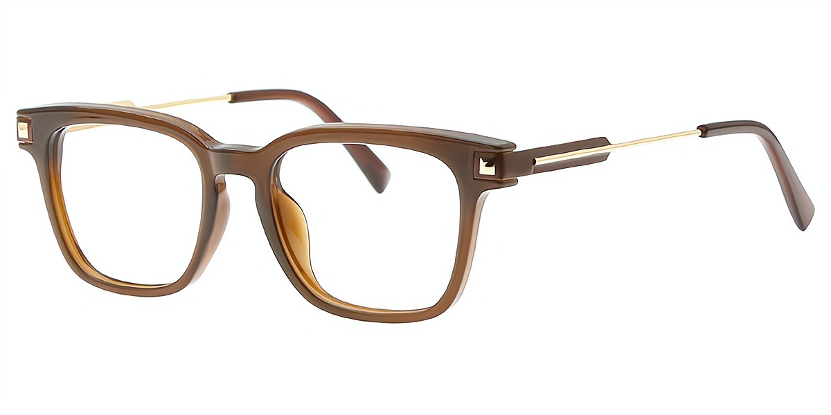 Brown Horn Classic Mixed Materials Eyeglasses