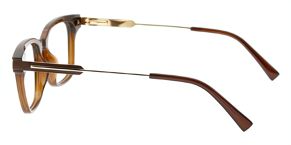 Brown Horn Classic Mixed Materials Eyeglasses