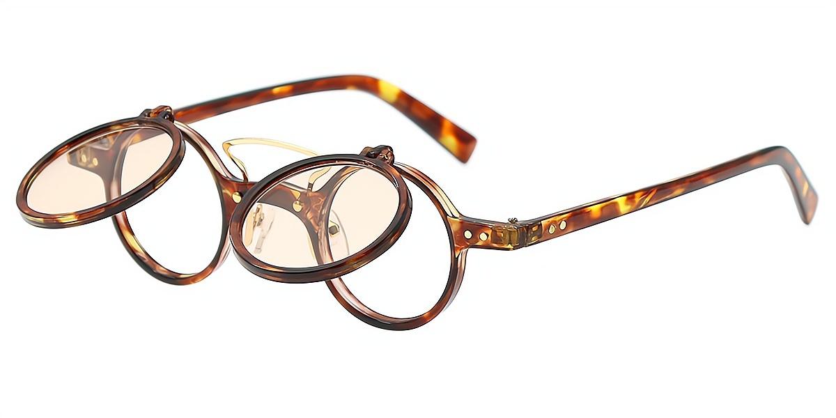 Tortoise Round Retro Plastic Eyeglasses