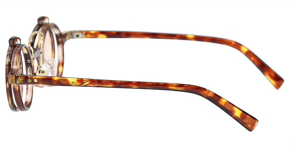 Tortoise Round Retro Plastic Eyeglasses