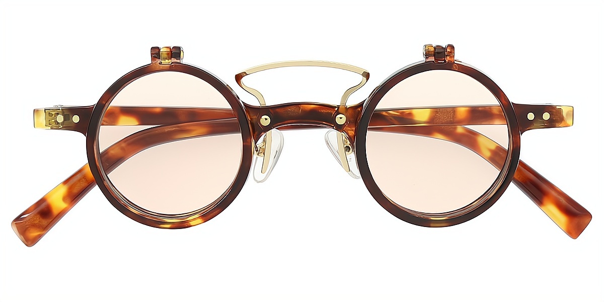 Tortoise Round Retro Plastic Eyeglasses