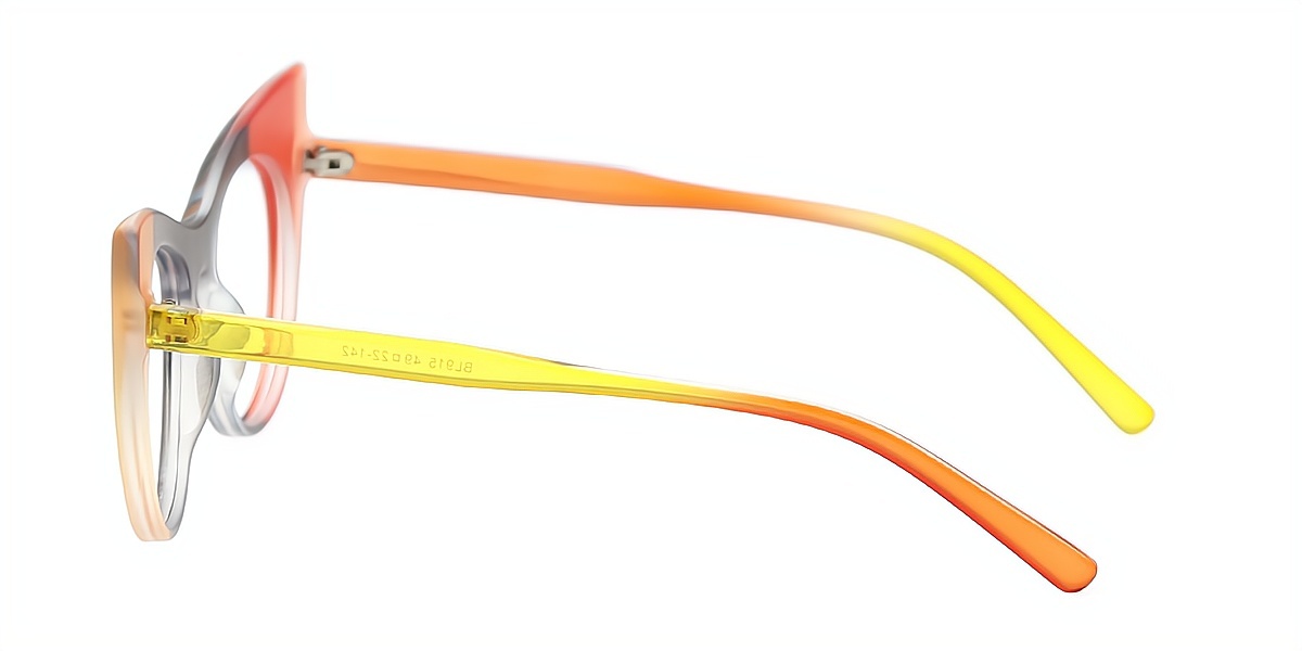 Mix Cat Eye Unique Plastic Eyeglasses